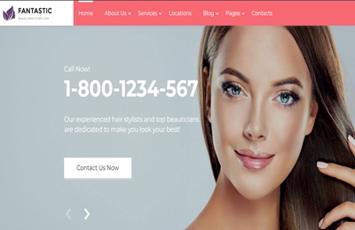 Tux, the Linux mascot